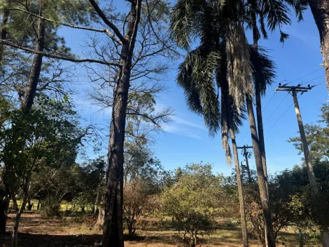 Comprar Rural / S&iacute;tio em Ol&iacute;mpia R$ 720.000,00 - Foto 49