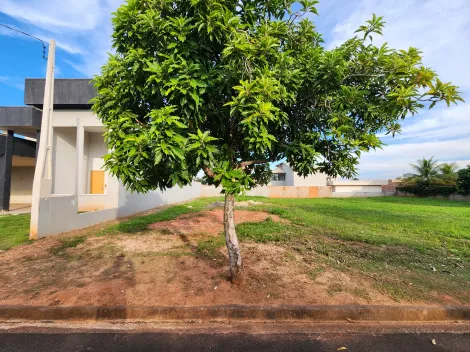Comprar Terreno / Condom&iacute;nio em Bady Bassitt R$ 350.000,00 - Foto 2