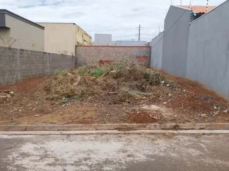 Alugar Terreno / Padr&atilde;o em S&atilde;o Jos&eacute; do Rio Preto. apenas R$ 75.000,00