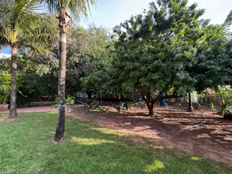 Comprar Rural / Ch&aacute;cara em S&atilde;o Jos&eacute; do Rio Preto R$ 490.000,00 - Foto 9