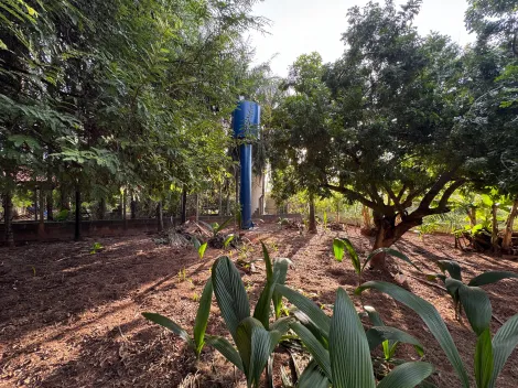Comprar Rural / Ch&aacute;cara em S&atilde;o Jos&eacute; do Rio Preto R$ 490.000,00 - Foto 11