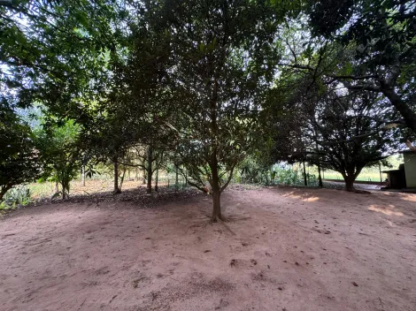 Comprar Rural / Ch&aacute;cara em S&atilde;o Jos&eacute; do Rio Preto R$ 490.000,00 - Foto 24