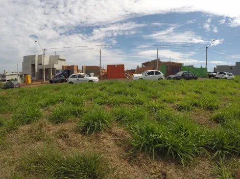 Comprar Terreno / Condom&iacute;nio em S&atilde;o Jos&eacute; do Rio Preto R$ 290.000,00 - Foto 2