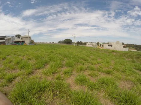 Comprar Terreno / Condom&iacute;nio em S&atilde;o Jos&eacute; do Rio Preto R$ 290.000,00 - Foto 6