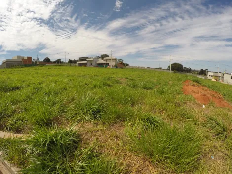 Comprar Terreno / Condom&iacute;nio em S&atilde;o Jos&eacute; do Rio Preto R$ 290.000,00 - Foto 7