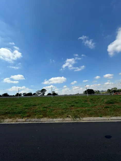 Comprar Terreno / Condom&iacute;nio em S&atilde;o Jos&eacute; do Rio Preto R$ 290.000,00 - Foto 8