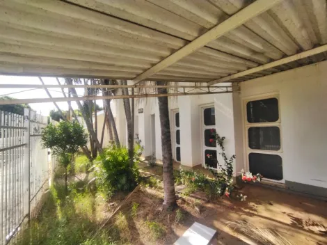 Alugar Casa / Padr&atilde;o em S&atilde;o Jos&eacute; do Rio Preto R$ 3.000,00 - Foto 12