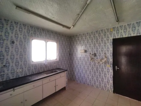 Alugar Casa / Padr&atilde;o em S&atilde;o Jos&eacute; do Rio Preto R$ 3.000,00 - Foto 7