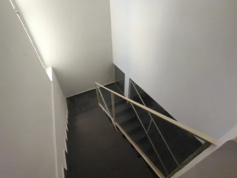 Alugar Casa / Padr&atilde;o em S&atilde;o Jos&eacute; do Rio Preto R$ 3.000,00 - Foto 13