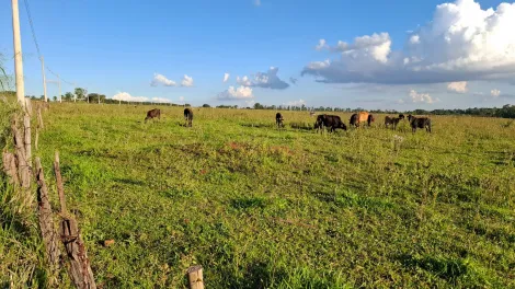 Comprar Rural / S&iacute;tio em Ipigu&aacute; R$ 1.750.000,00 - Foto 3
