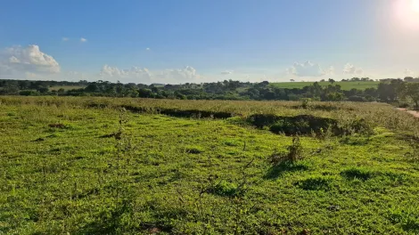 Comprar Rural / S&iacute;tio em Ipigu&aacute; R$ 1.750.000,00 - Foto 7