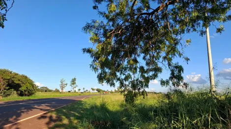 Comprar Rural / S&iacute;tio em Ipigu&aacute; R$ 1.750.000,00 - Foto 8