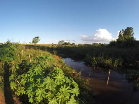 Comprar Rural / S&iacute;tio em Ipigu&aacute; R$ 1.750.000,00 - Foto 9