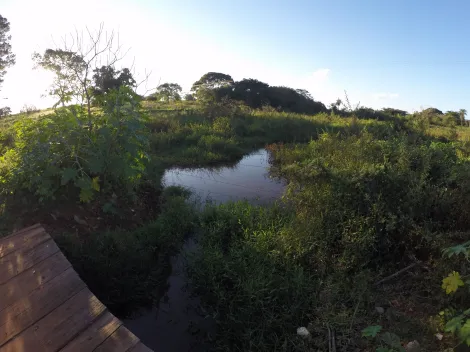 Comprar Rural / S&iacute;tio em Ipigu&aacute; R$ 1.750.000,00 - Foto 11