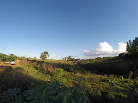 Comprar Rural / S&iacute;tio em Ipigu&aacute; R$ 1.750.000,00 - Foto 12