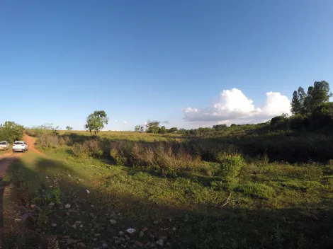 Comprar Rural / S&iacute;tio em Ipigu&aacute; R$ 1.750.000,00 - Foto 13