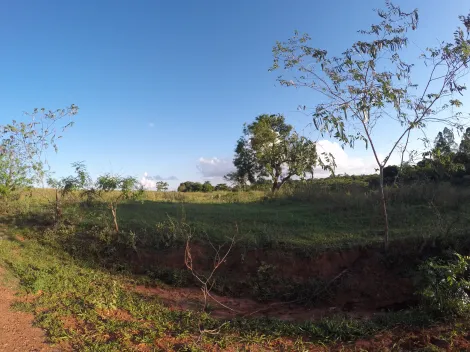 Comprar Rural / S&iacute;tio em Ipigu&aacute; R$ 1.750.000,00 - Foto 14