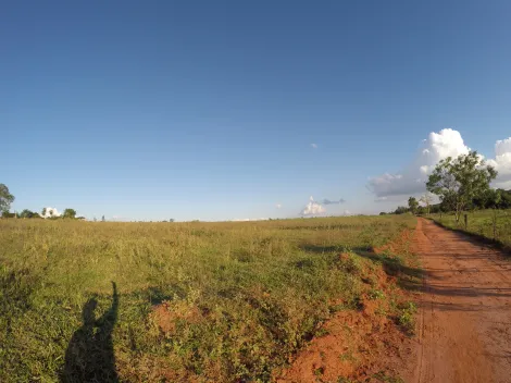 Comprar Rural / S&iacute;tio em Ipigu&aacute; R$ 1.750.000,00 - Foto 16