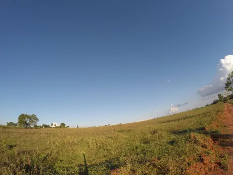 Comprar Rural / S&iacute;tio em Ipigu&aacute; R$ 1.750.000,00 - Foto 17