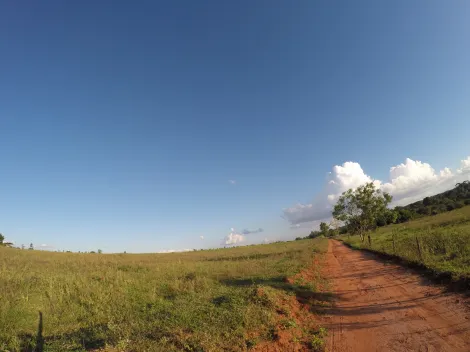 Comprar Rural / S&iacute;tio em Ipigu&aacute; R$ 1.750.000,00 - Foto 18
