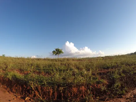 Comprar Rural / S&iacute;tio em Ipigu&aacute; R$ 1.750.000,00 - Foto 19