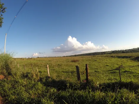Comprar Rural / S&iacute;tio em Ipigu&aacute; R$ 1.750.000,00 - Foto 20