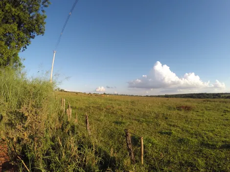 Comprar Rural / S&iacute;tio em Ipigu&aacute; R$ 1.750.000,00 - Foto 21