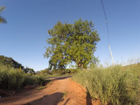 Comprar Rural / S&iacute;tio em Ipigu&aacute; R$ 1.750.000,00 - Foto 22