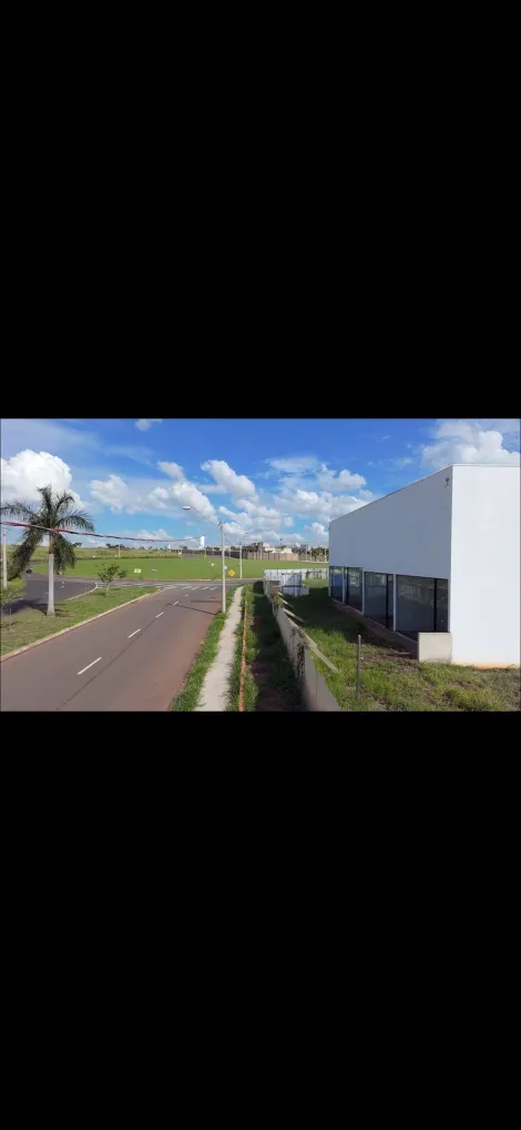 Comprar Terreno / &Aacute;rea em Mirassol R$ 5.990.000,00 - Foto 3