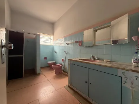 Alugar Casa / Padr&atilde;o em S&atilde;o Jos&eacute; do Rio Preto R$ 4.500,00 - Foto 22