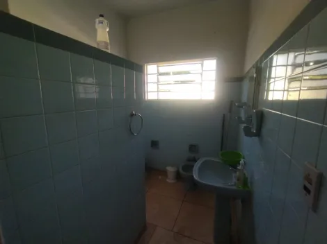 Alugar Casa / Padr&atilde;o em S&atilde;o Jos&eacute; do Rio Preto R$ 4.500,00 - Foto 15