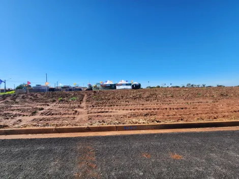 Alugar Terreno / Padr&atilde;o em Bady Bassitt. apenas R$ 78.600,00