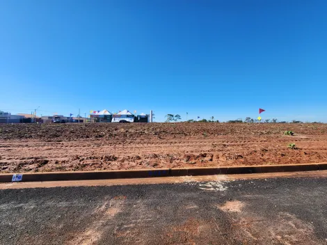 Alugar Terreno / Padr&atilde;o em Bady Bassitt. apenas R$ 79.000,00