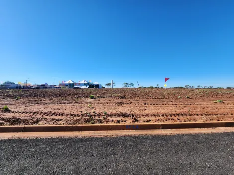 Comprar Terreno / Padr&atilde;o em Bady Bassitt R$ 86.000,00 - Foto 1