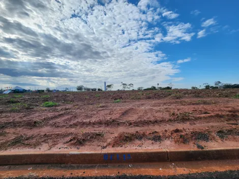 Alugar Terreno / Padr&atilde;o em Bady Bassitt. apenas R$ 79.000,00