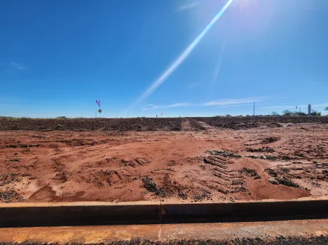 Alugar Terreno / Padr&atilde;o em Bady Bassitt. apenas R$ 75.000,00