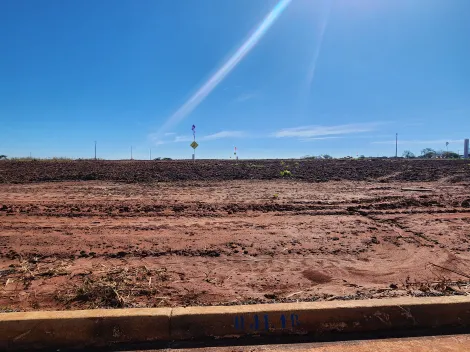 Alugar Terreno / Padr&atilde;o em Bady Bassitt. apenas R$ 75.000,00