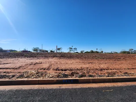 Comprar Terreno / Padr&atilde;o em Bady Bassitt R$ 80.000,00 - Foto 3