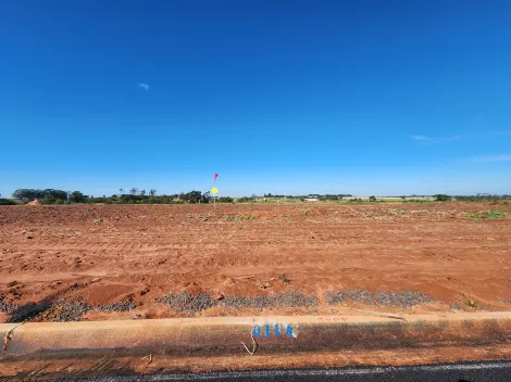 Alugar Terreno / Padr&atilde;o em Bady Bassitt. apenas R$ 87.000,00