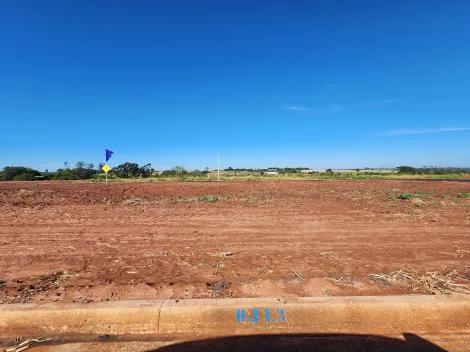 Terreno / Padr&atilde;o em Bady Bassitt 