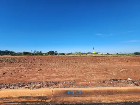 Alugar Terreno / Padr&atilde;o em Bady Bassitt. apenas R$ 79.000,00