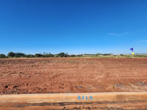 Alugar Terreno / Padr&atilde;o em Bady Bassitt. apenas R$ 79.000,00