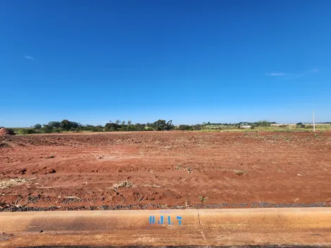 Terreno / Padr&atilde;o em Bady Bassitt 