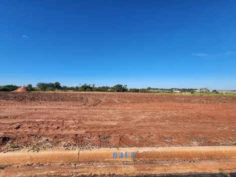 Terreno / Padr&atilde;o em Bady Bassitt 