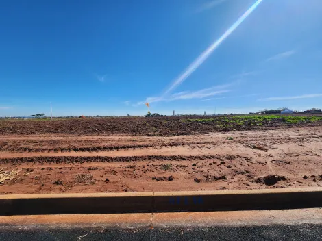 Terreno / Padr&atilde;o em Bady Bassitt 