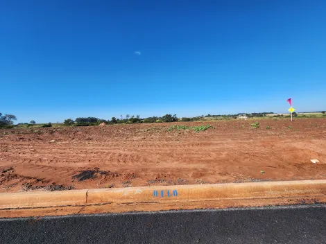 Terreno / Padr&atilde;o em Bady Bassitt 