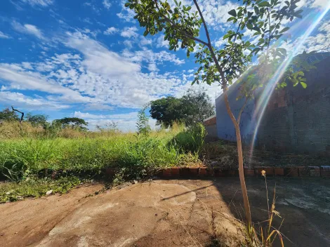 Comprar Terreno / Padr&atilde;o em S&atilde;o Jos&eacute; do Rio Preto R$ 90.000,00 - Foto 2
