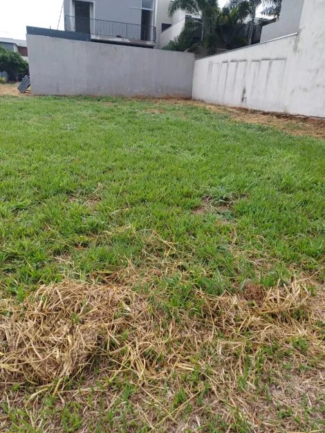 Terreno / Condom&iacute;nio em S&atilde;o Jos&eacute; do Rio Preto 