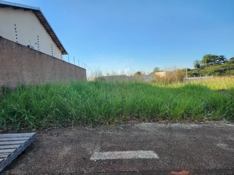 Comprar Terreno / Padr&atilde;o em S&atilde;o Jos&eacute; do Rio Preto R$ 94.000,00 - Foto 2