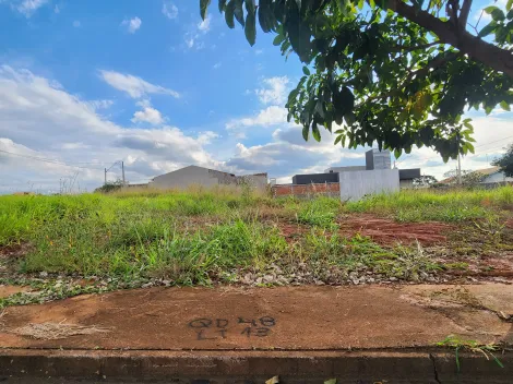 Alugar Terreno / Padr&atilde;o em S&atilde;o Jos&eacute; do Rio Preto. apenas R$ 100.000,00